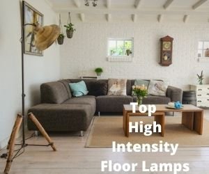 High Intensity Floor lamps